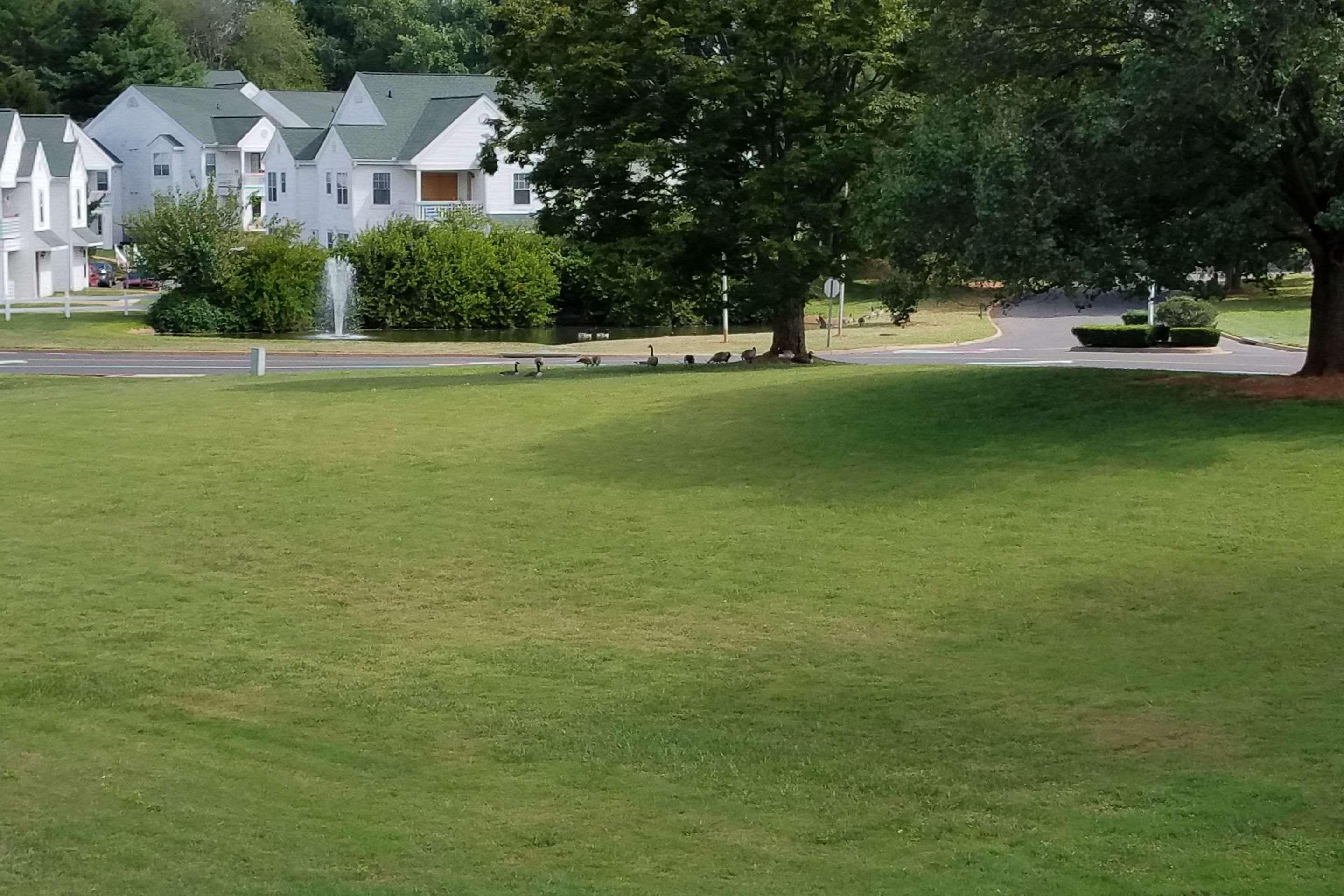 Quality Inn Culpeper Exterior foto
